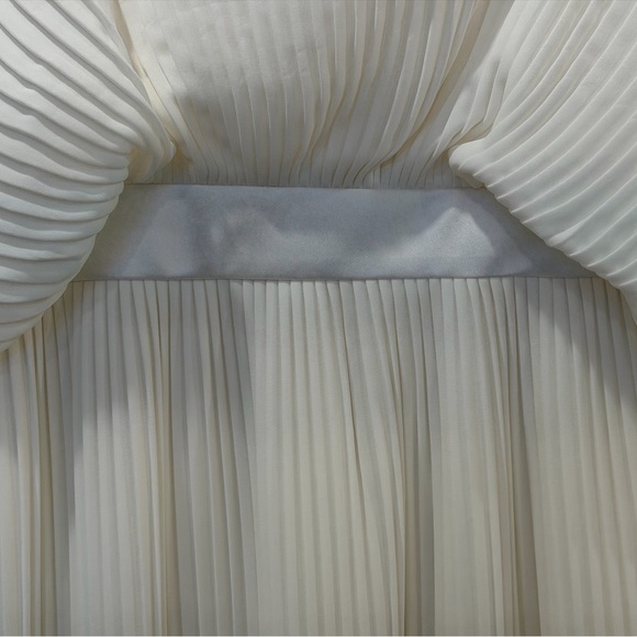 NWT ANAYA Off-White Pleated Gown - Picture 4 of 5